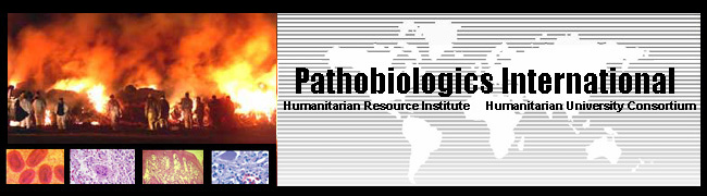 Pyres: 2001 UK FMD Outbreak - Photo: Murdo Macleod.  Slides L-R: Smallpox, SARS Coronavirus , Foot and Mouth Disease, West Nile Virus.